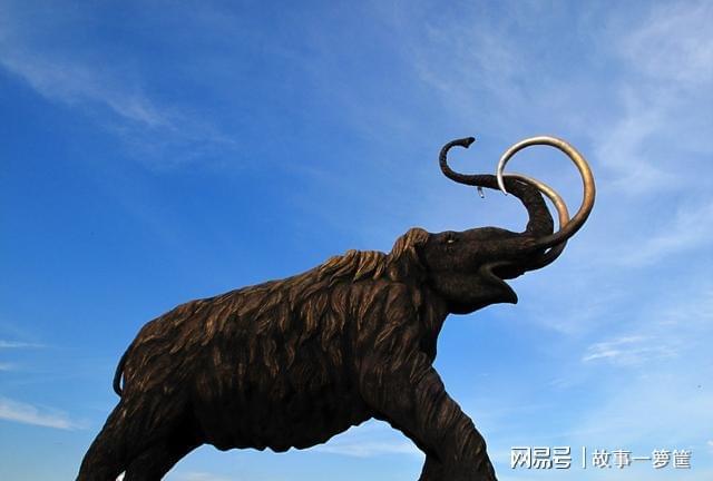 六不象，六不象百科