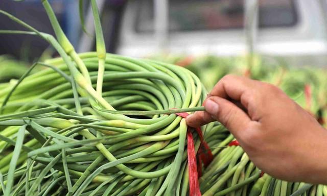 蒜苔价格，2022年12月蒜苔价格