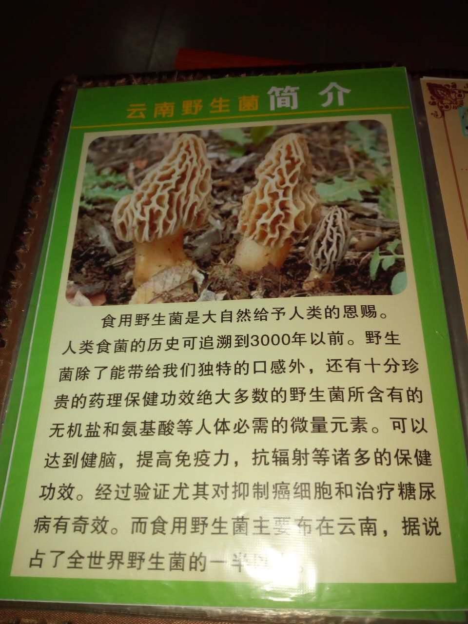 猪肚菌，猪肚菌怎么做