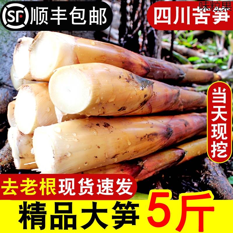 苦竹笋，苦竹图片