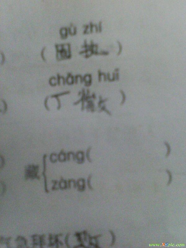 坊的多音字组词，坊的多音字组词组