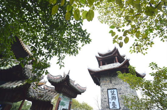 黄泉路上无老少，黄泉路上无老少,孤坟多是少年人