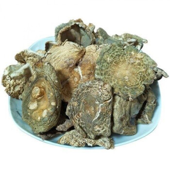 蘑菇菌，蘑菇菌种制作