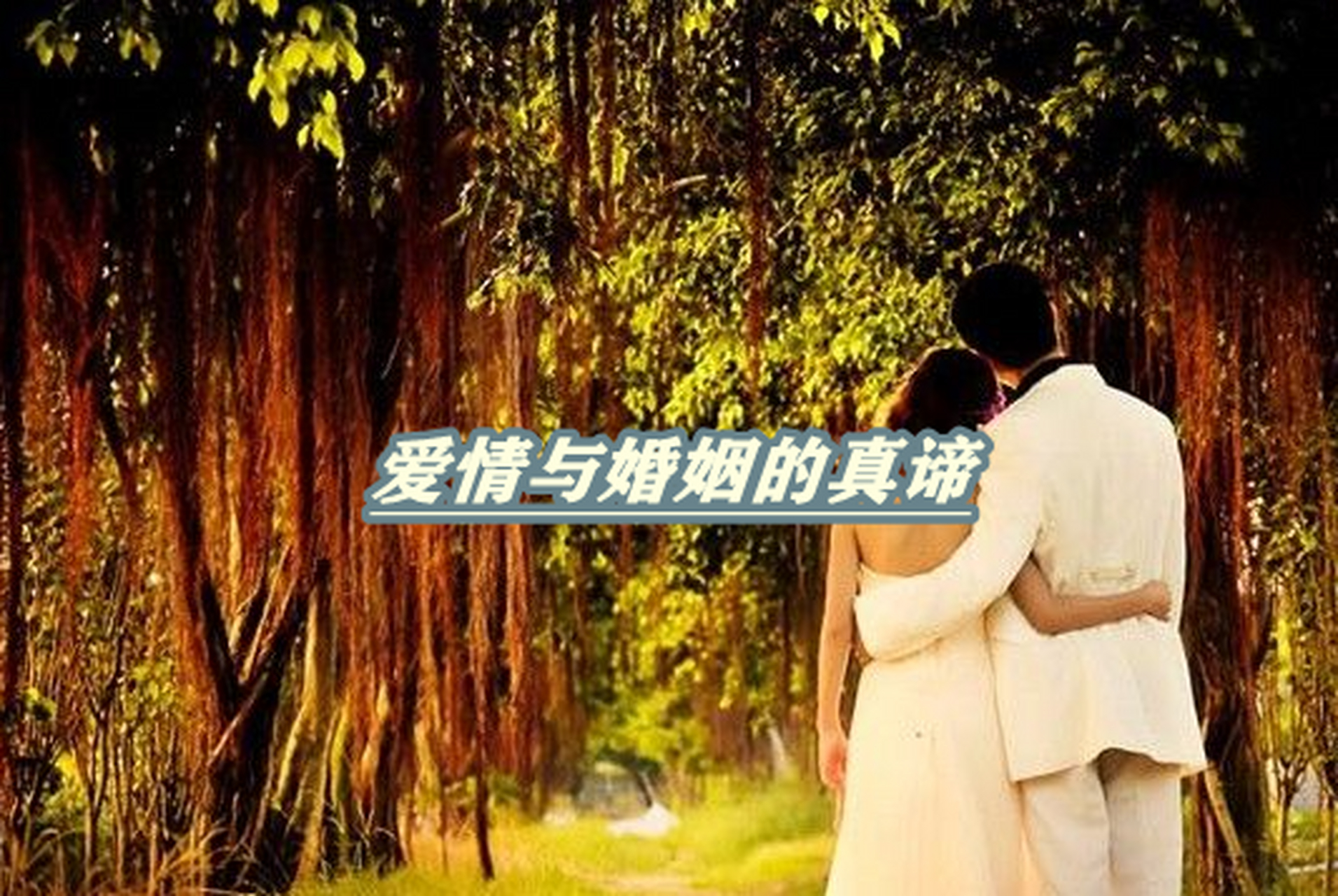 婚姻的真谛，婚姻的真谛在线观看