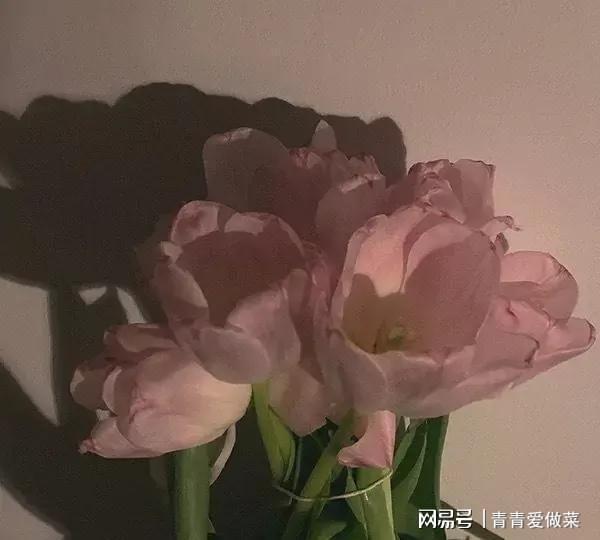 消耗殆尽是什么意思，消耗殆尽是什么意思用完了什么