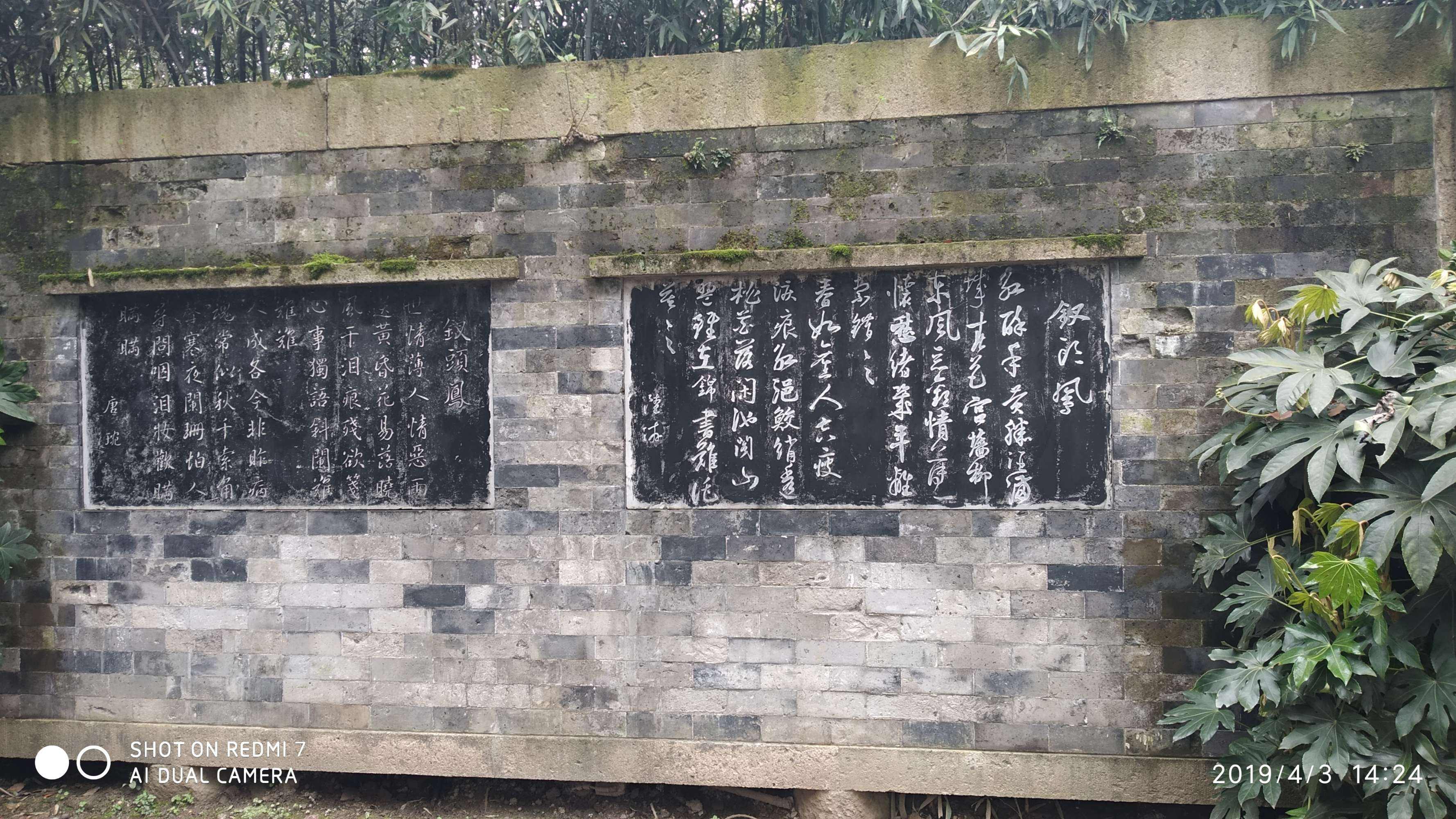 泪痕红浥鲛绡透，泪痕红浥鲛绡透上一句