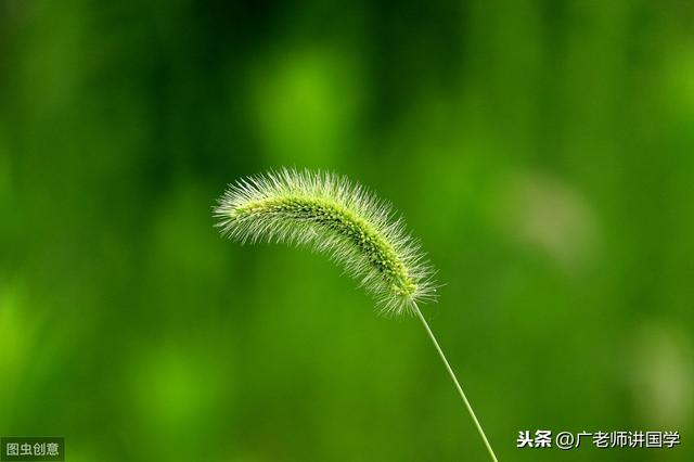 厚爱是什么意思，承蒙厚爱是什么意思