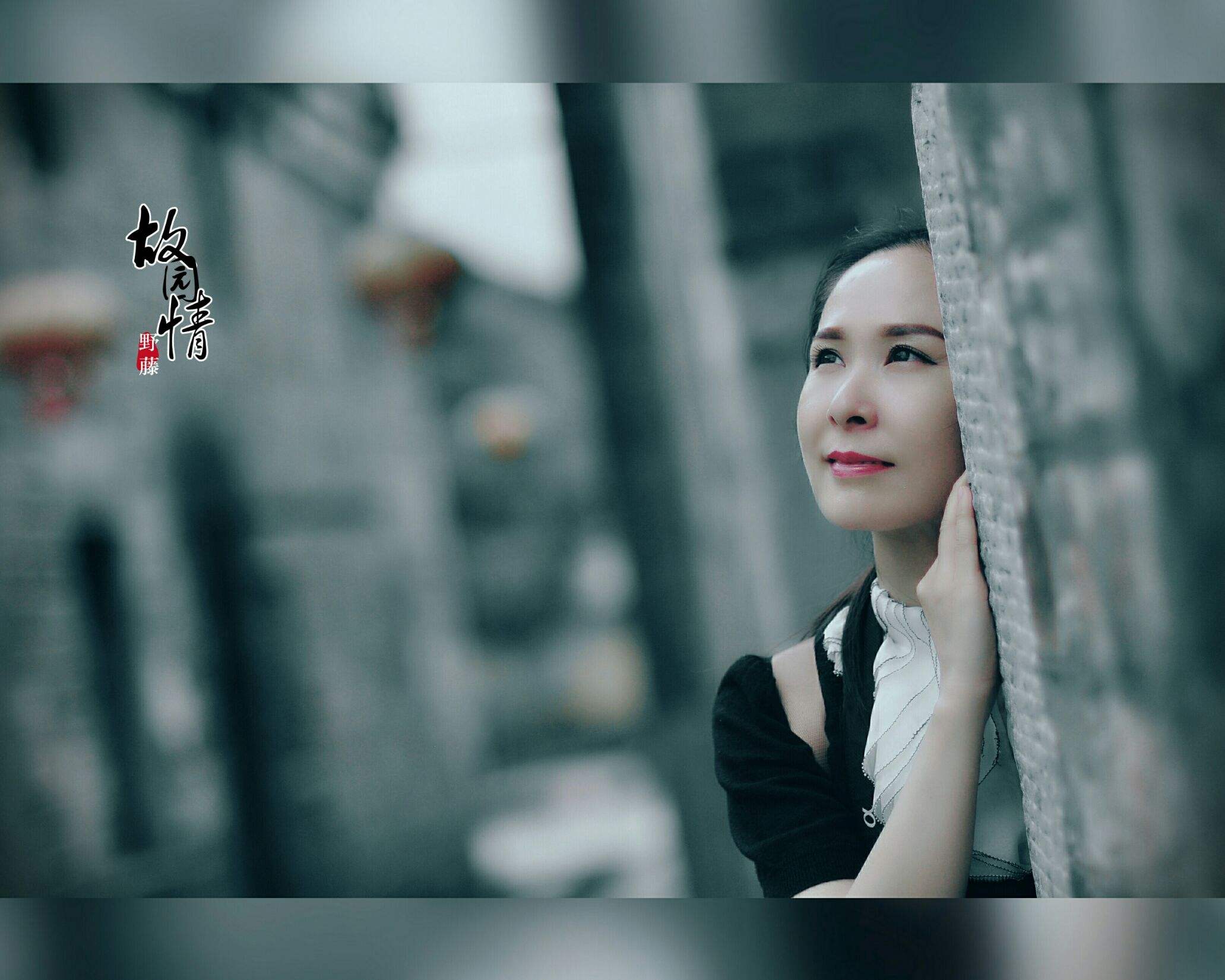 故园情，不起故园情