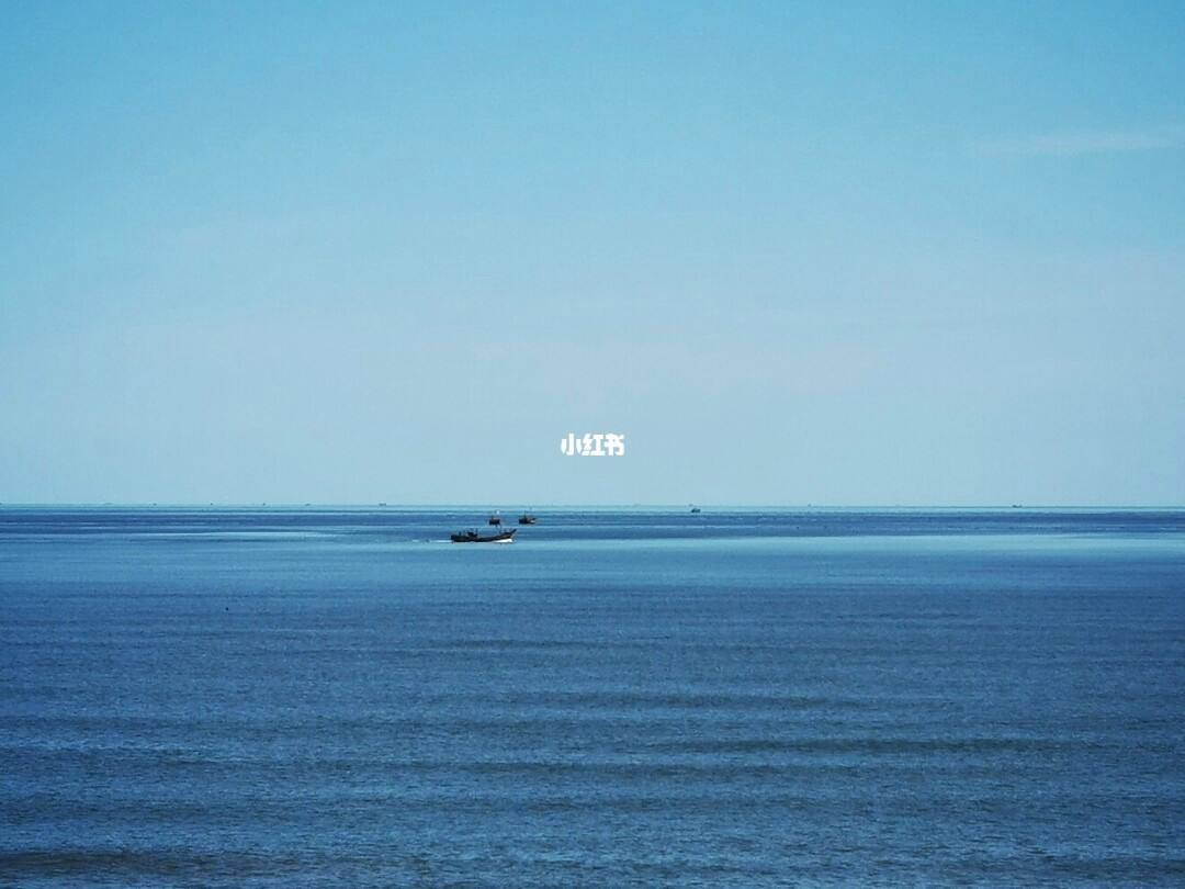 一什么海，一什么海豚填空填量词