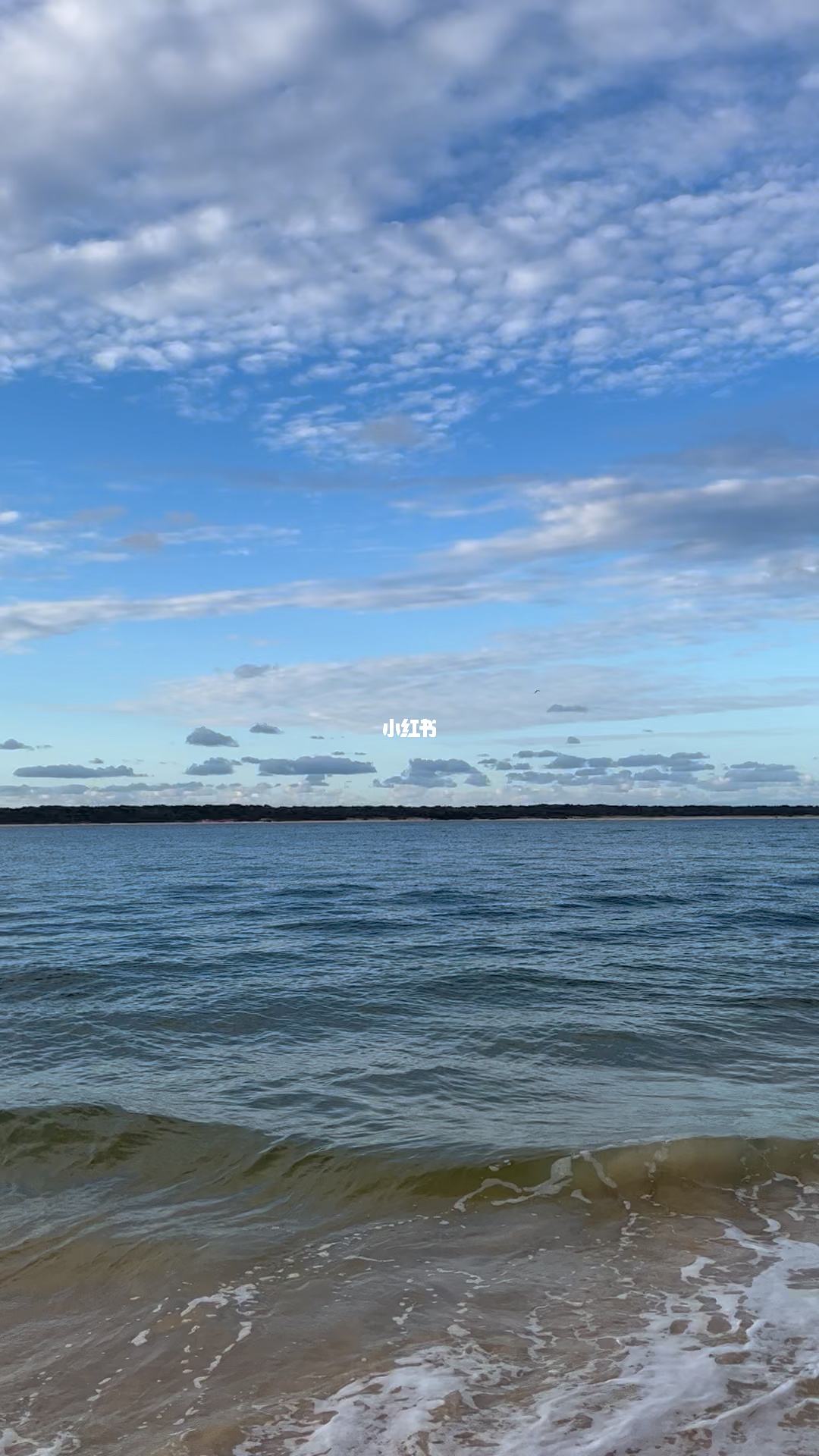 浩瀚无垠的意思，生命浩瀚无垠的意思