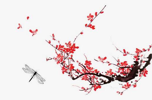 梅花陈亮，梅花陈亮拼音