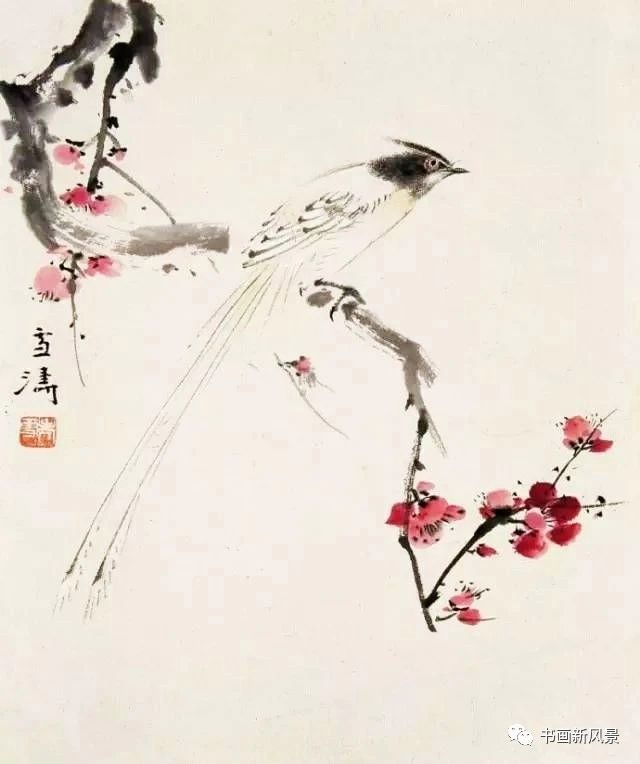 梅花陈亮，梅花陈亮拼音