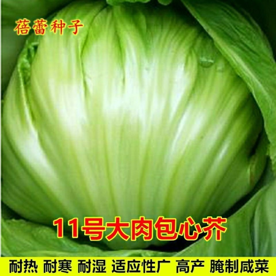 包心芥菜，包心芥菜怎么腌制