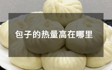 素包子热量，两个素包子热量