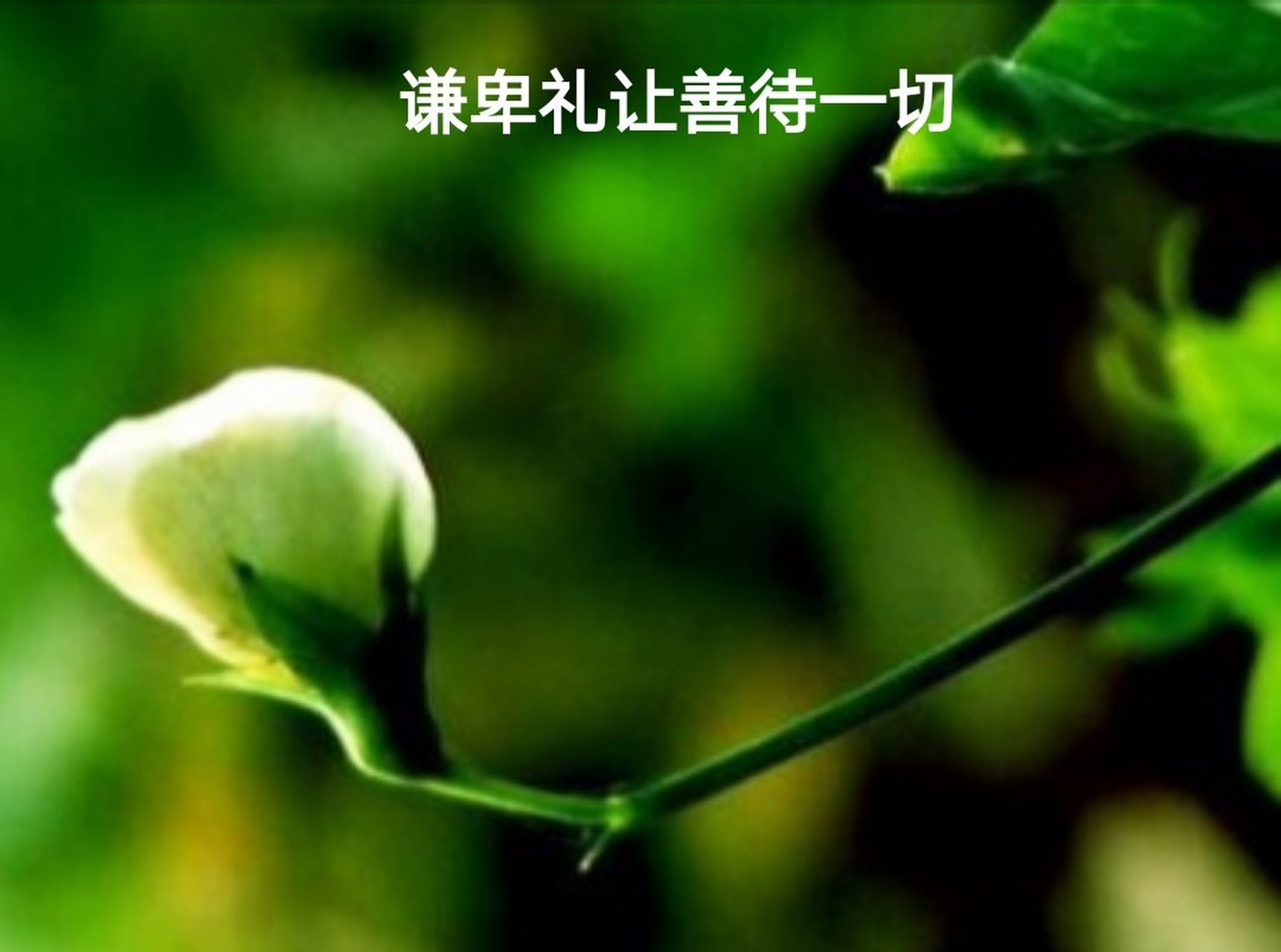 争名夺利，争名夺利的意思