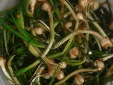 野蒜怎么做好吃，野小蒜的做法大全家常窍门