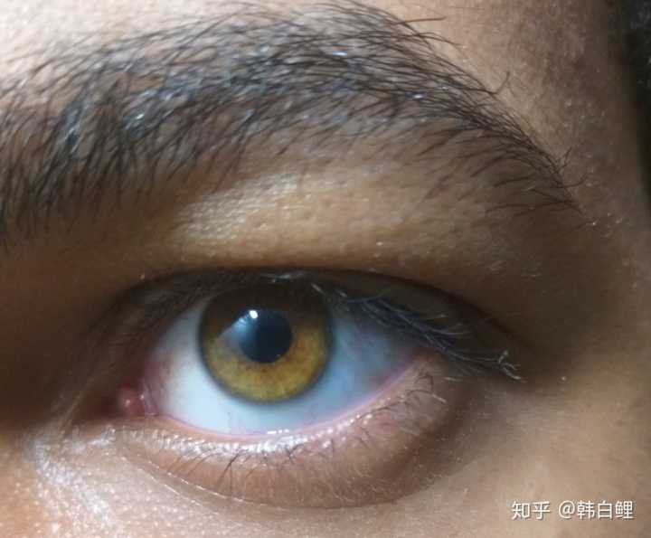 琥珀色眼睛，琥珀色眼睛图片