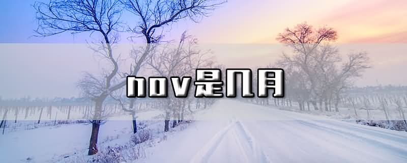 11月英文缩写，11月英文缩写形式