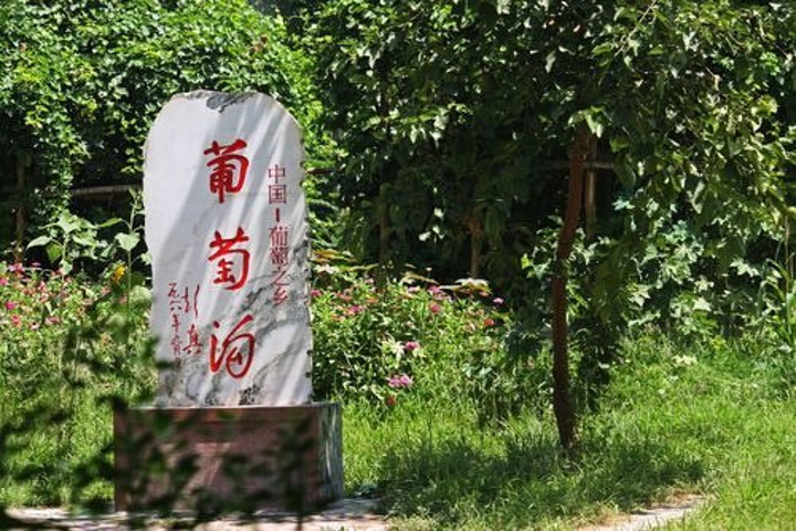 中国葡萄之乡，中国葡萄之乡排名