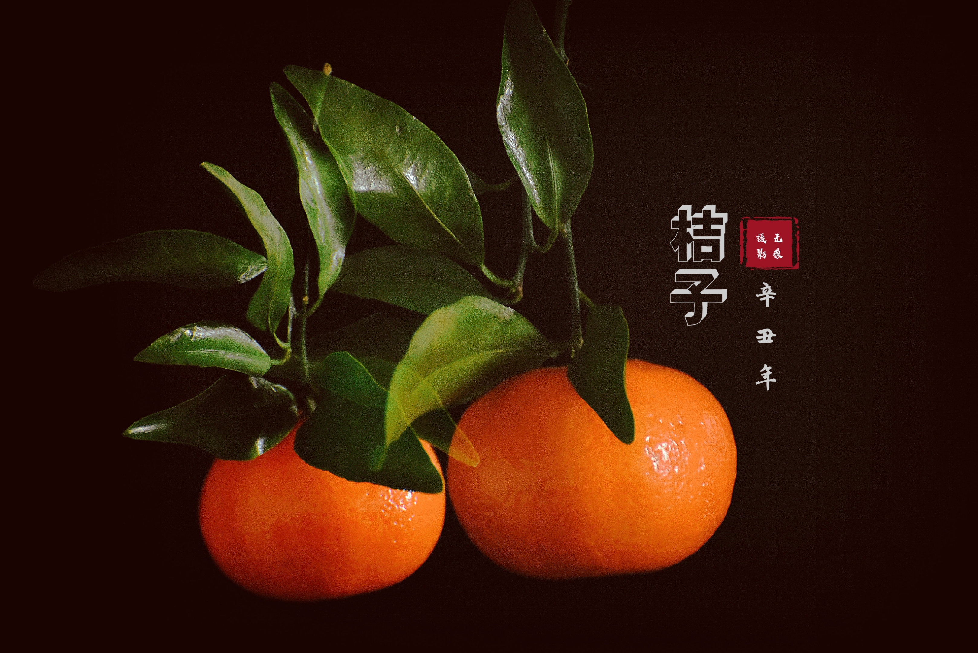 桔子红了，桔子红了剧情介绍