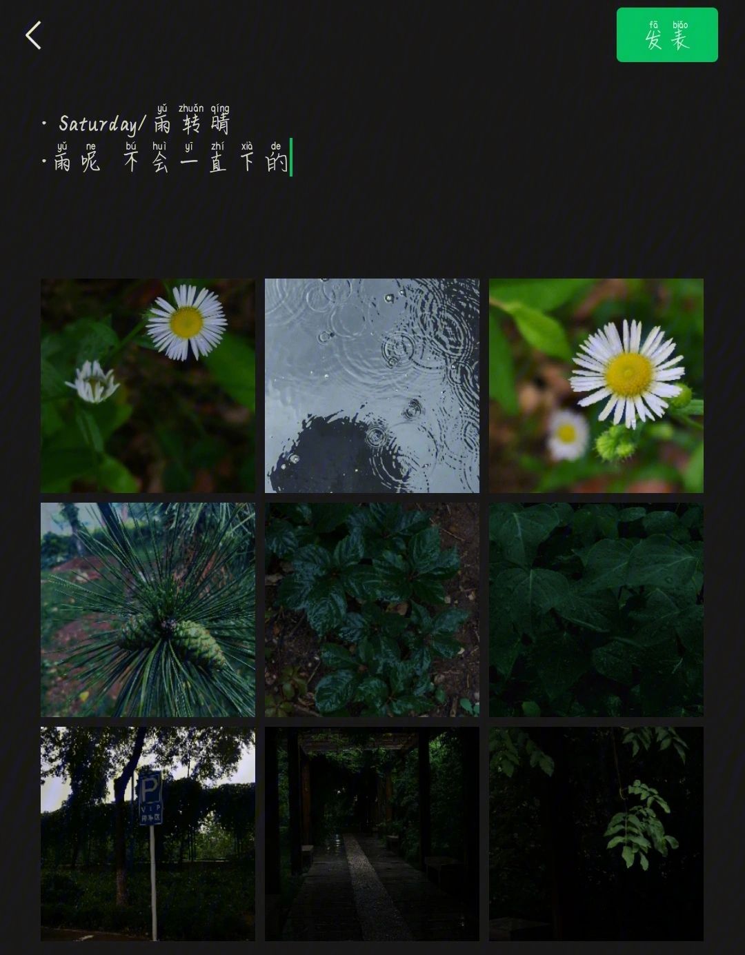 怪雨，怪雨伞读后感