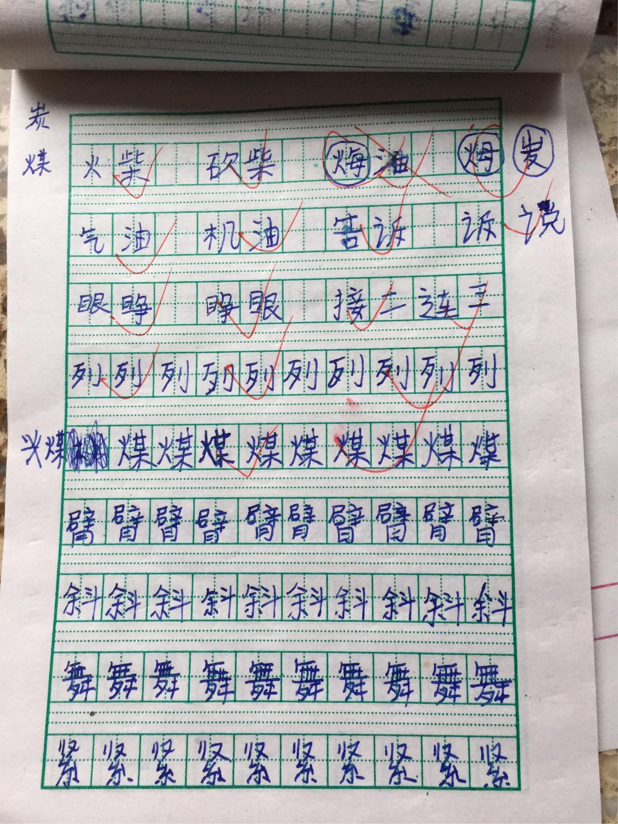 纲的组词，纲的组词和拼音是什么