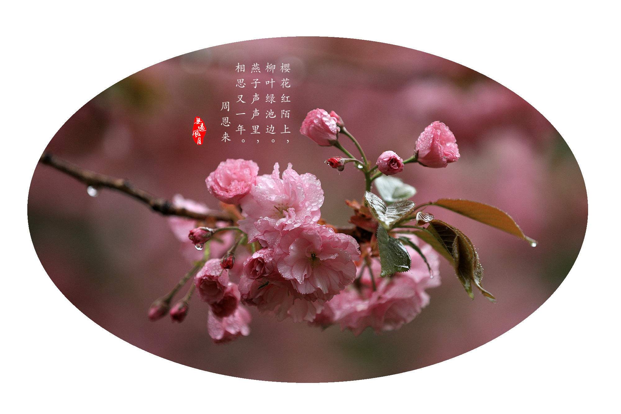 春风春雨，春风春雨春意浓,春树春花春色红