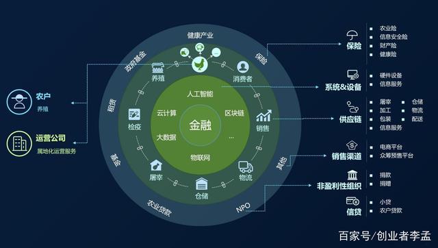 区块链创业小知识有哪些，区块链创业小知识有哪些内容