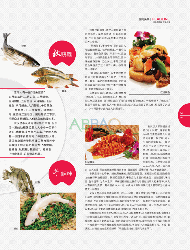关于中国区块链午间快报电子版的信息